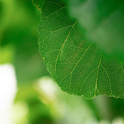 yangfan-xiao-r1l-H14I6WA-unsplash